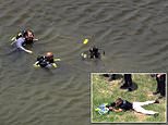 Rescue divers searching alligator-infested water for missing mother and son are covered by SNIPERS