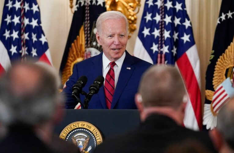 US solar companies weigh challenge to Biden pause on tariffs