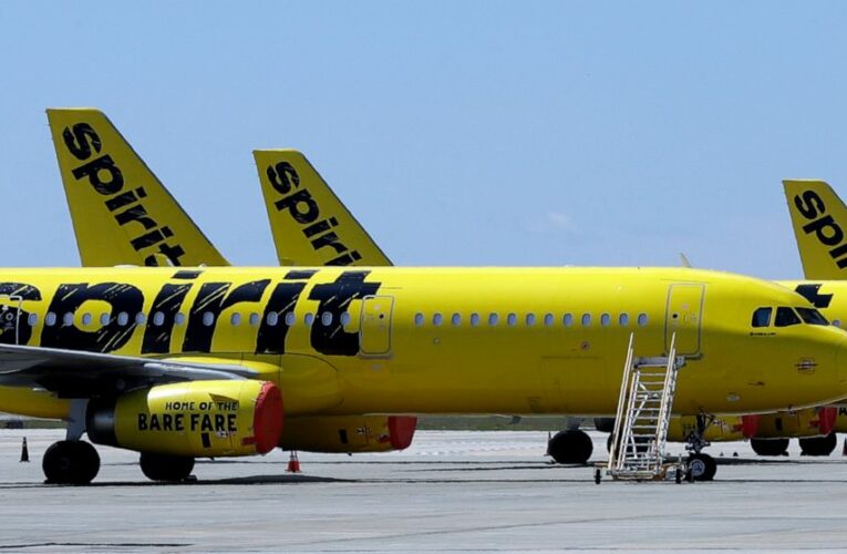 Spirit Airlines, a bidding war target, postpones buyout vote