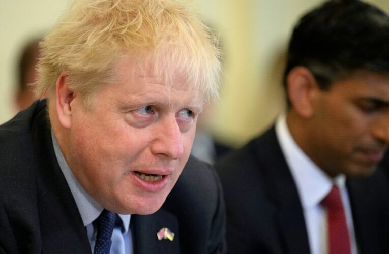 Which Conservatives could succeed UK’s Johnson if he falls?