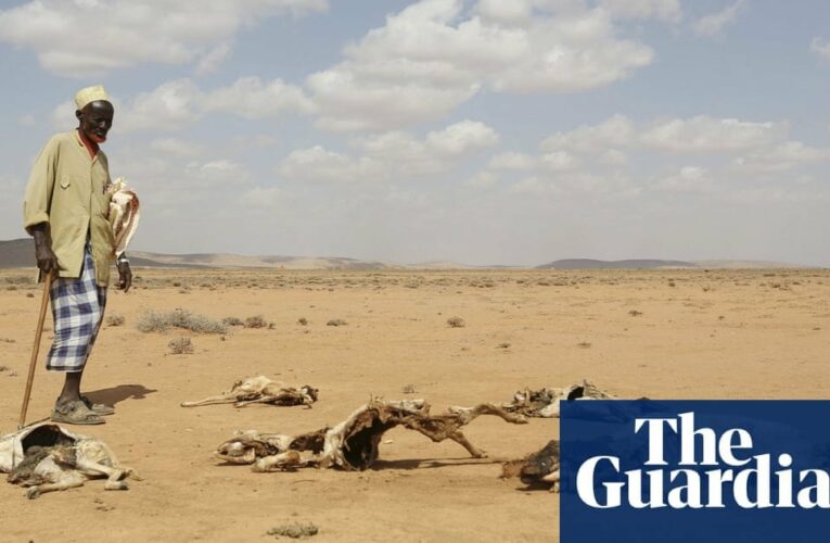 Warning of unprecedented heatwaves as El Niño set to return in 2023 | El Niño southern oscillation