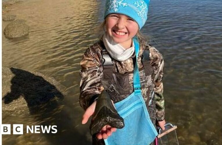 Girl, nine, finds megalodon shark tooth on Maryland beach