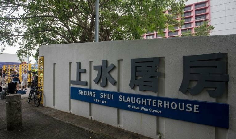 Struggling pig kills butcher at slaughterhouse in Hong Kong