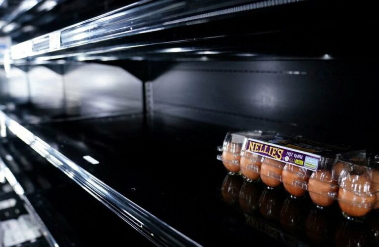 High egg prices should be investigated, U.S. farm group says