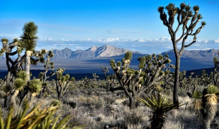 Biden designates area sacred to tribes as largest national monument of his presidency | CNN Politics