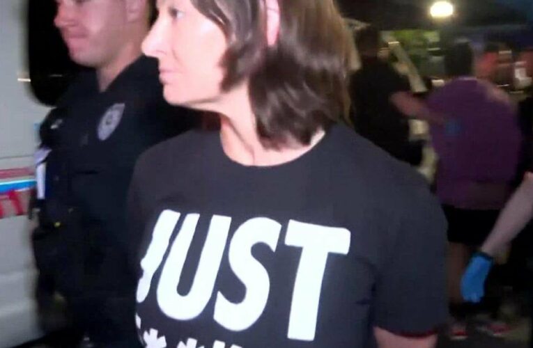 Florida Democratic Chair Nikki Fried, Sen. Lauren Book arrested during abortion bill protest