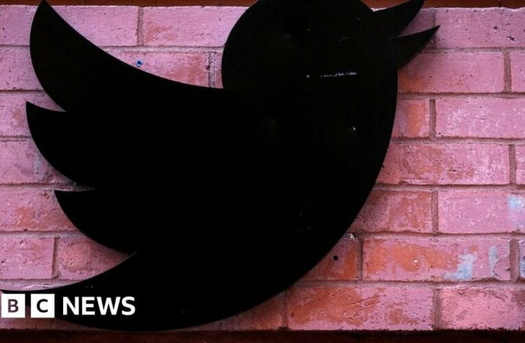 Twitter staff cuts leave Russian trolls unchecked